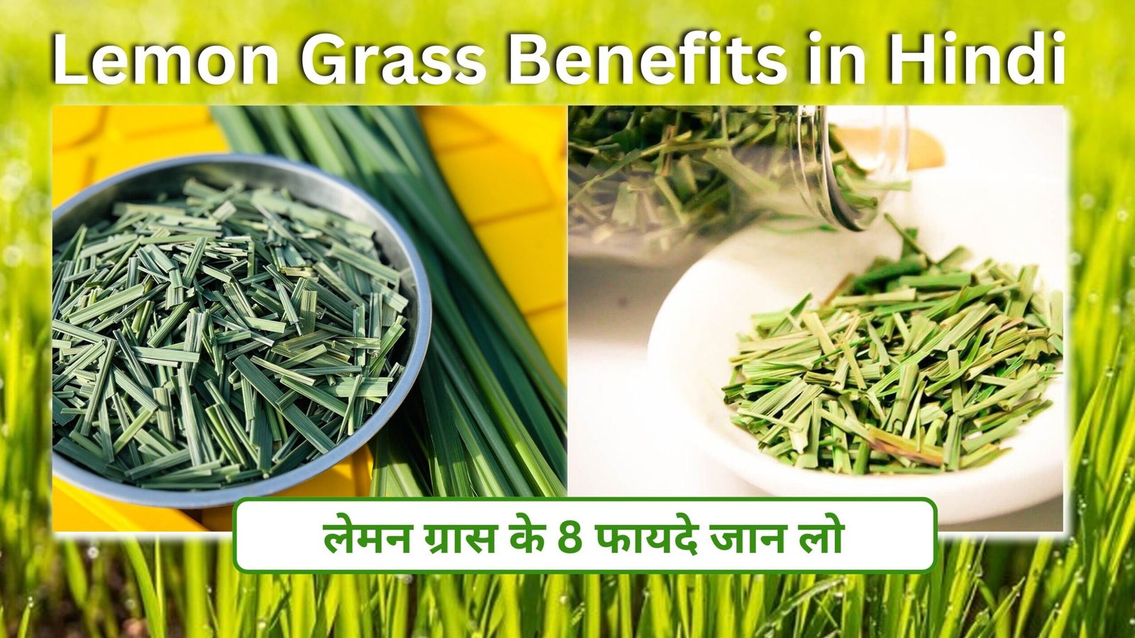 Lemon Grass Benefits in Hindi : लेमन ग्रास के 8 फायदे जान लो