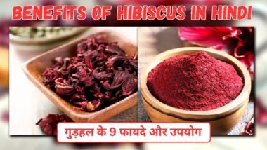 Benefits of Hibiscus in Hindi | गुड़हल के फायदे और उपयोग - Brijbooti