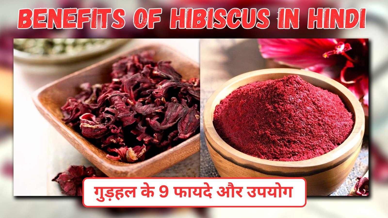Benefits of Hibiscus in Hindi | गुड़हल के फायदे और उपयोग