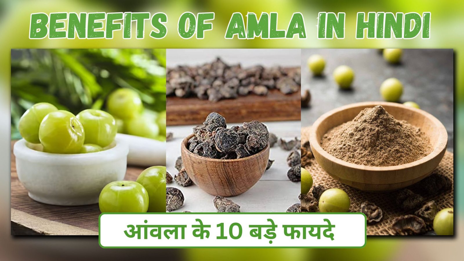 Benefits of amla in hindi | आंवला के 10 बड़े फायदे | 100 रोगों की 1 दवा