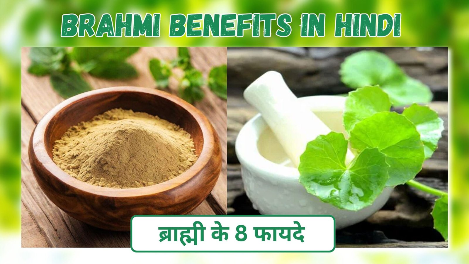 Benefits of Brahmi in hindi | बालों व अन्य रोगो के लिए ब्राह्मी के 7 फायदे