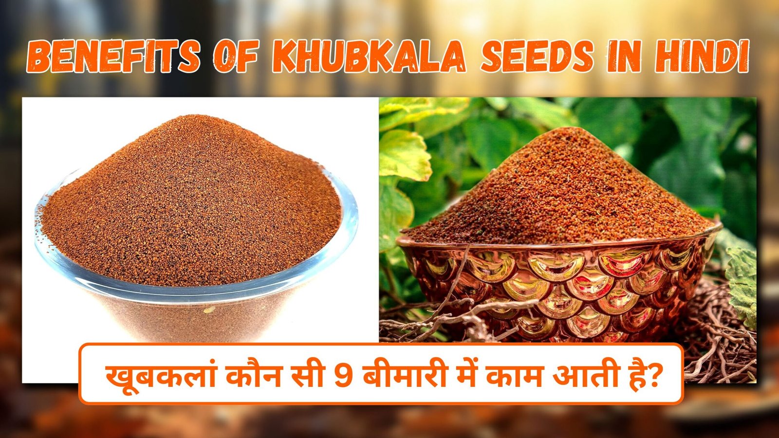 Benefits of khubkala Seeds in hindi | खूबकलां कौन सी बीमारी में काम आती है?