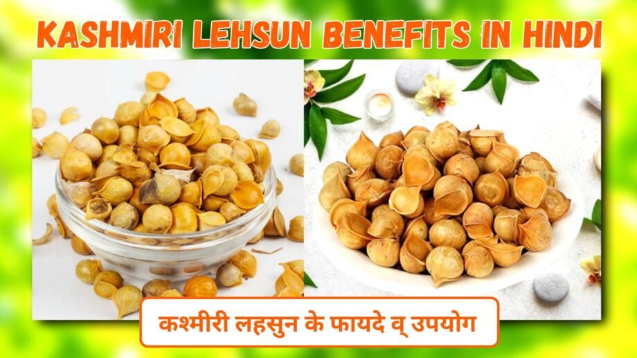 कश्मीरी लहसुन के फायदे व् उपयोग | Kashmiri Lehsun Benefits In Hindi