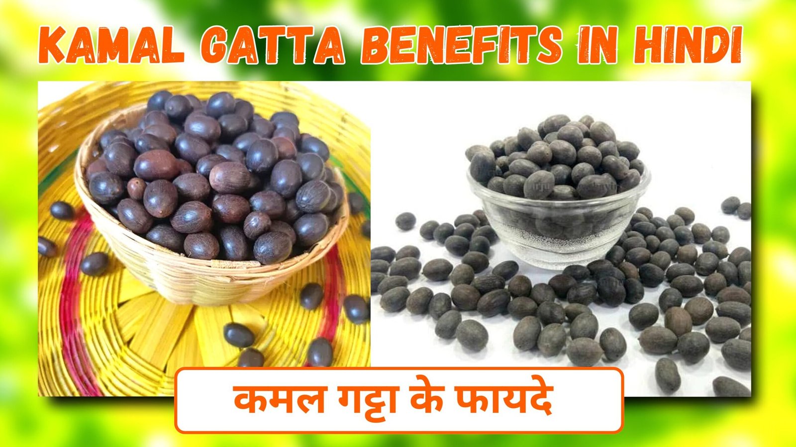 Kamal Gatta Benefits in Hindi | कमल गट्टा के फायदे