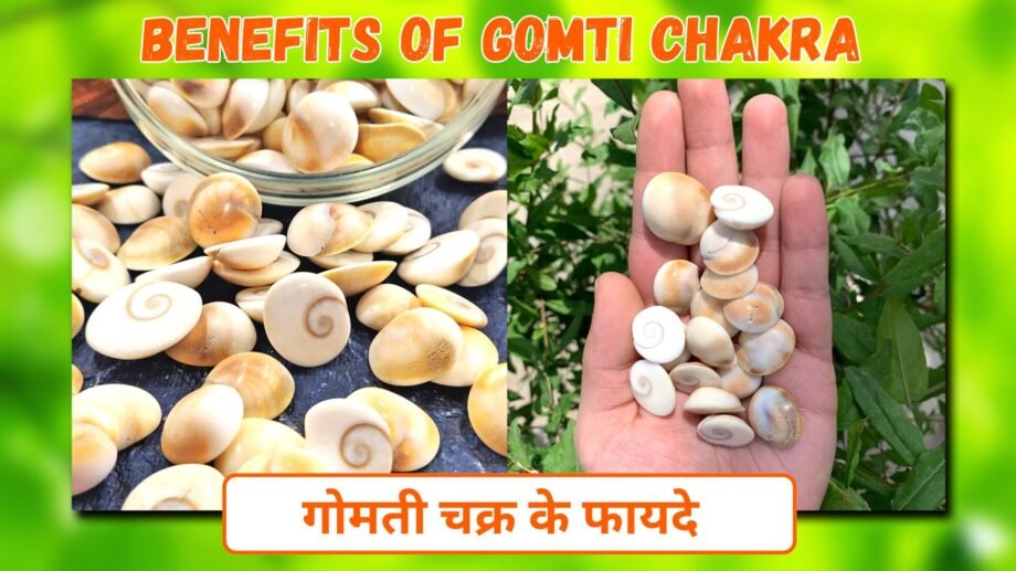 गोमती चक्र के फायदे | Benefits of Gomti Chakra & Uses in Hindi