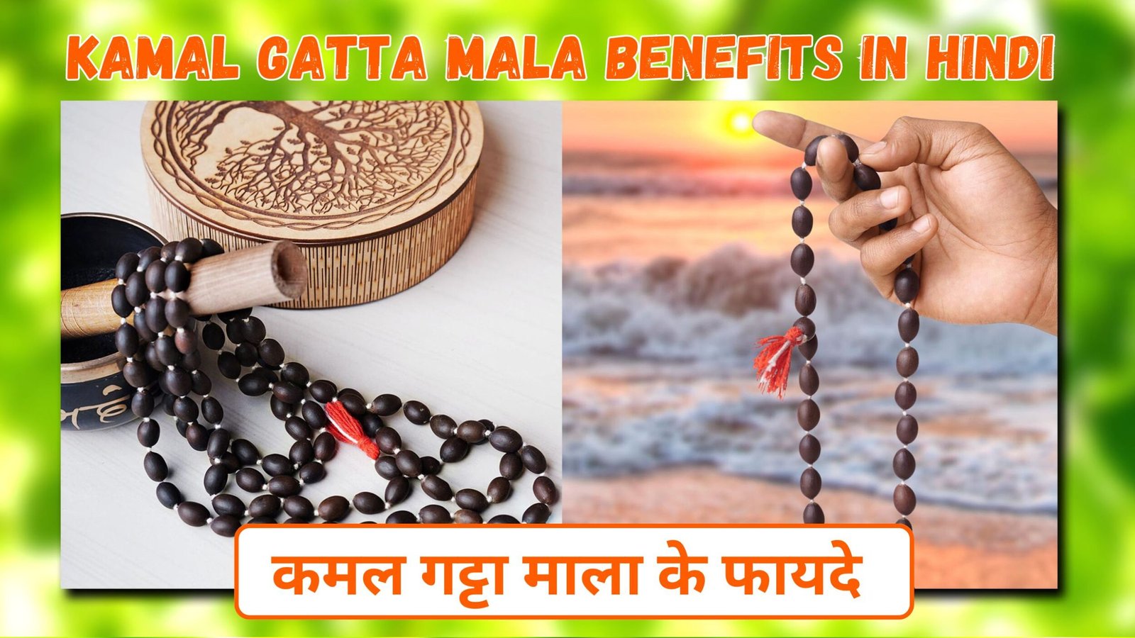 Kamal Gatta Mala Benefits | कमल गट्टा माला के फायदे | पूजा के लिए