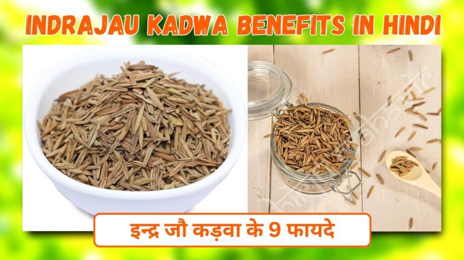 Indrajau Kadwa Benefits In Hindi | इन्द्र जौ कड़वा के 9 फायदे