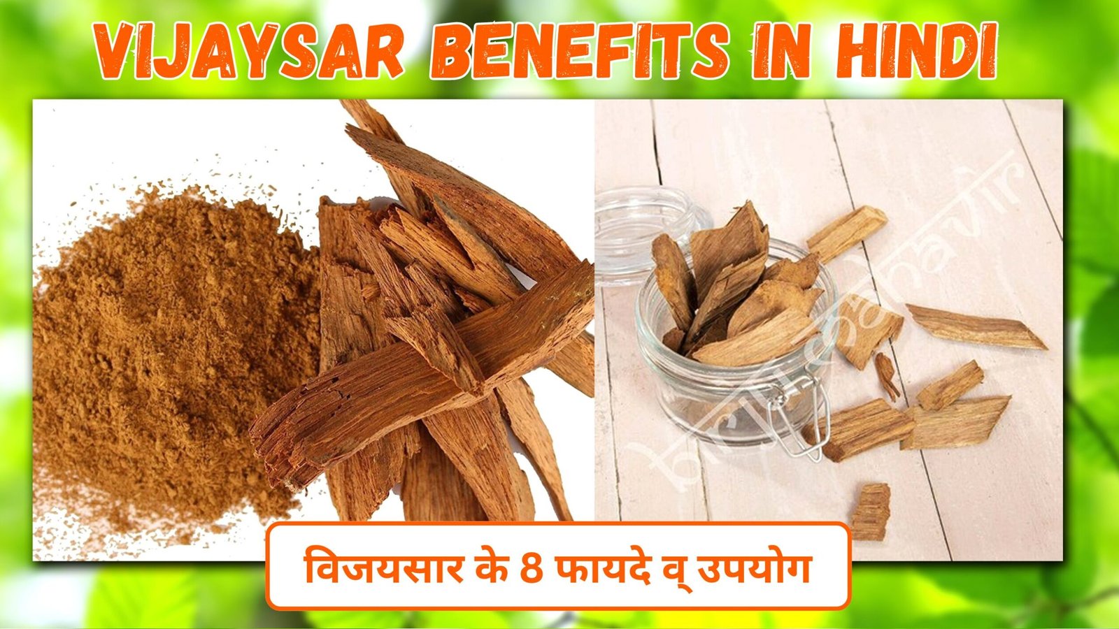 Vijaysar Benefits in Hindi | विजयसार के 8 फायदे व् उपयोग