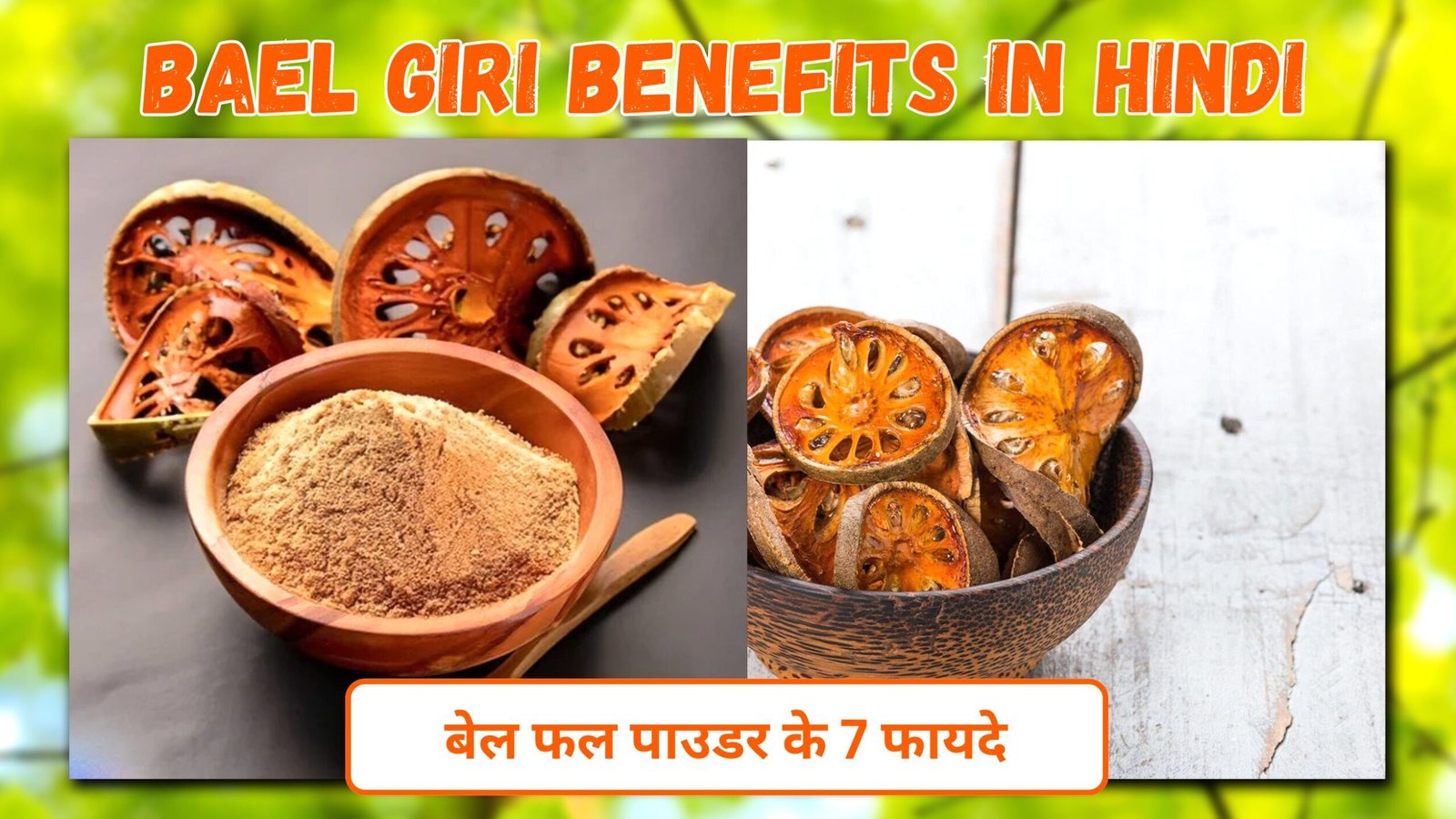 Belgiri Powder Benefits in Hindi | बेल फल पाउडर के 7 फायदे