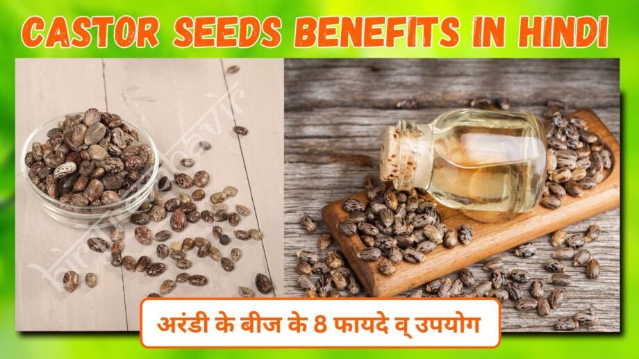 Castor Seeds Benefits in Hindi | अरंडी के बीज के 8 फायदे व् उपयोग