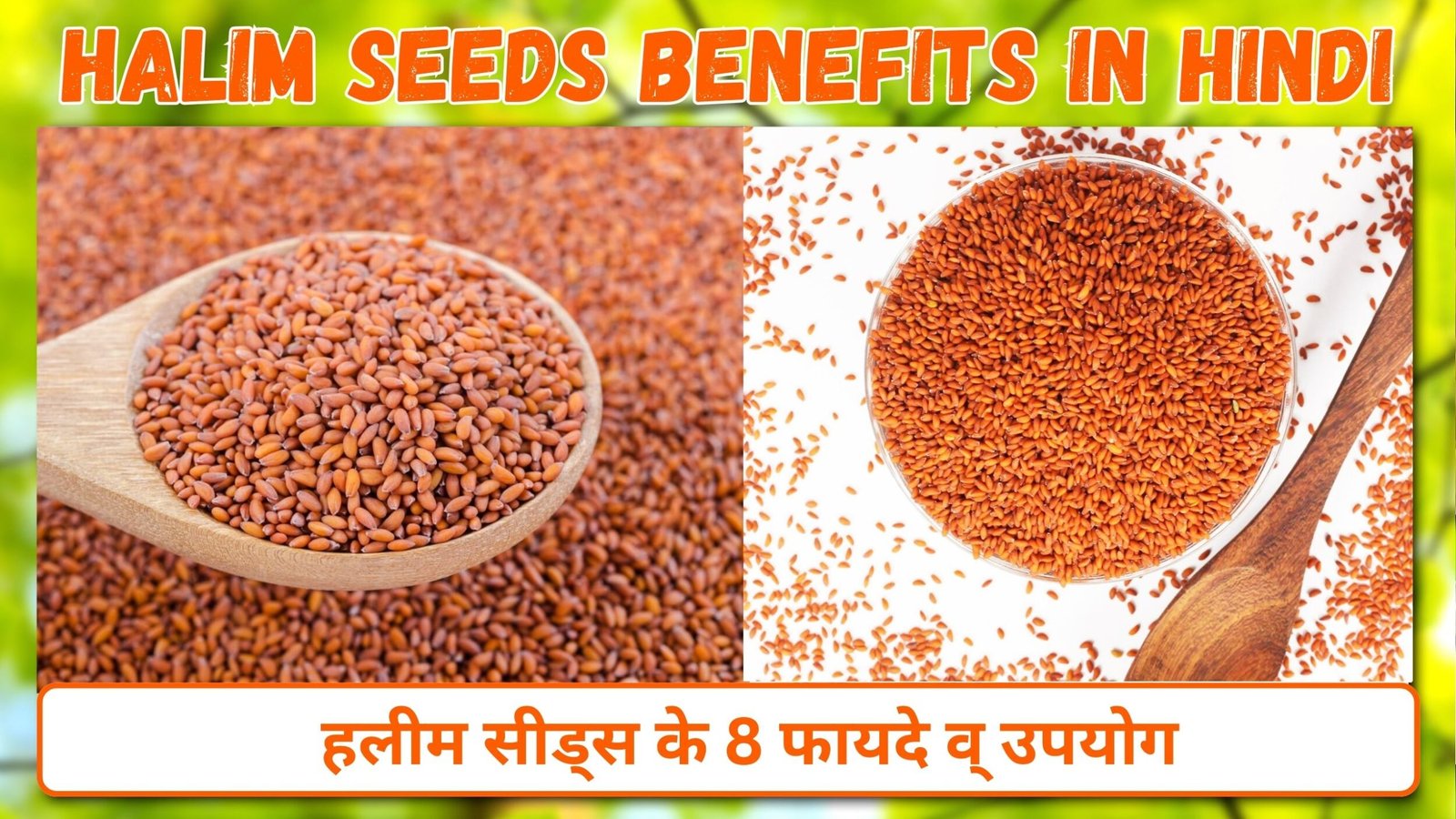 Halim Seeds Benefits in Hindi : हलीम सीड्स के 8 फायदे व् उपयोग