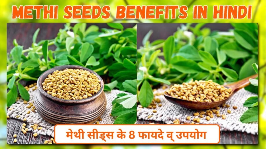 Methi Seeds Benefits : मेथी सीड्स के 8 फायदे व् उपयोग | मेथी के बीज