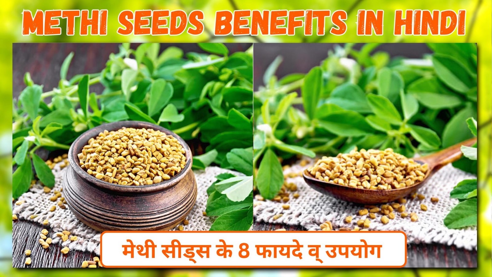 Methi Seeds Benefits : मेथी सीड्स के 8 फायदे व् उपयोग | मेथी के बीज