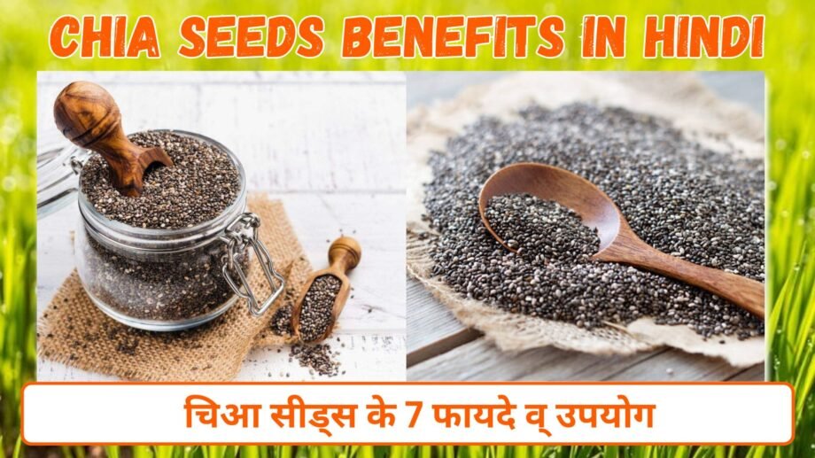 Chia Seeds Benefits in Hindi : चिआ सीड्स के 7 फायदे व् उपयोग