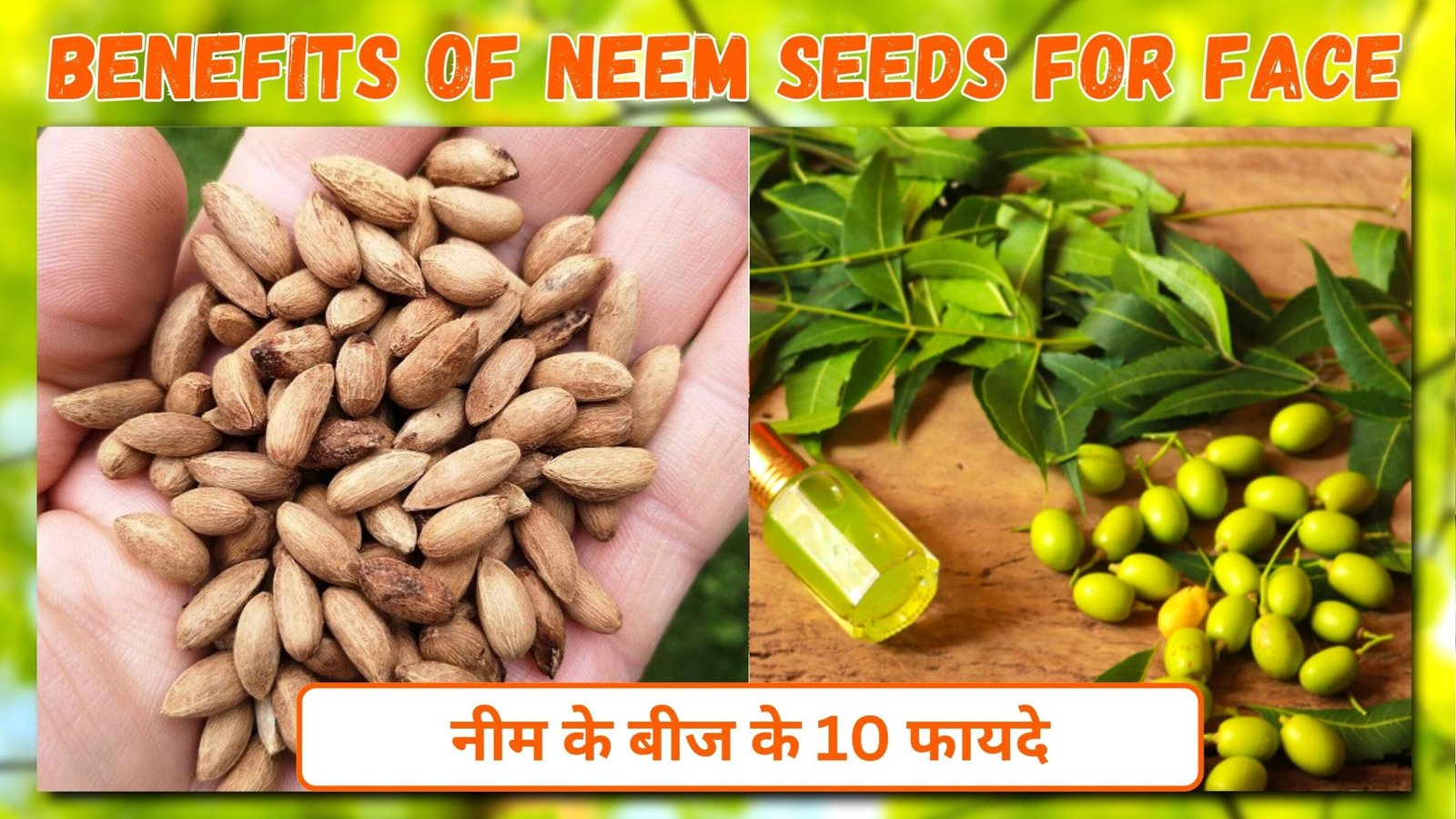 नीम के बीज के 10 फायदे | Benefits of Neem Seeds for Face