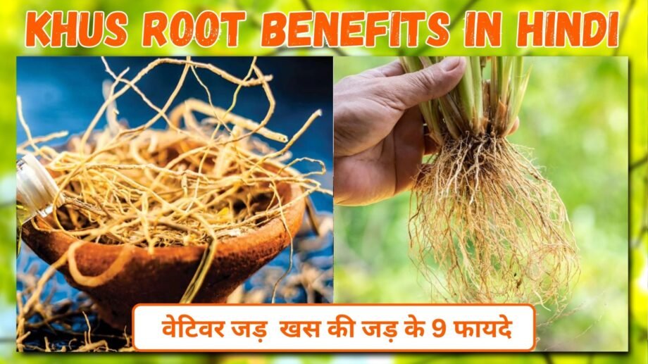 वेटिवर जड़ | खस की जड़ के 9 फायदे | Khus Root Benefits in Hindi