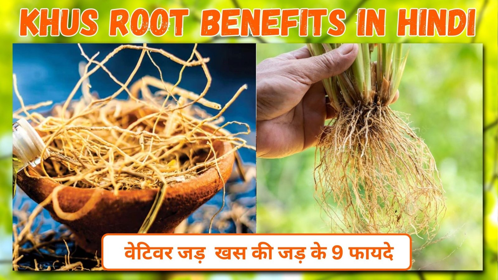 वेटिवर जड़ | खस की जड़ के 9  फायदे | Khus Root Benefits in Hindi