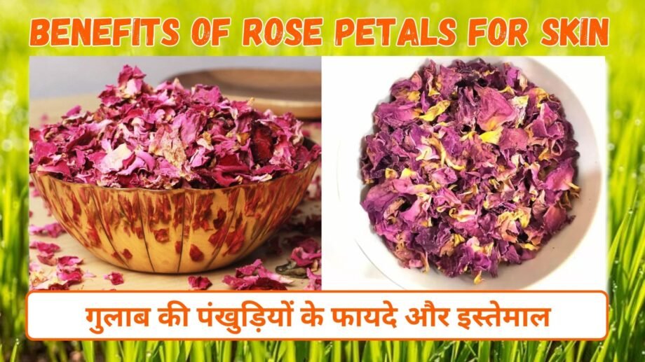 गुलाब की पंखुड़ियों के फायदे और इस्तेमाल के तरीके | Benefits of rose petals for Skin