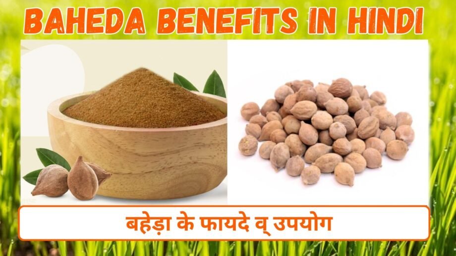 बहेड़ा के फायदे व् उपयोग | Baheda Benefits in hindi