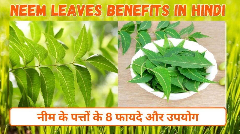 नीम के पत्तों के फायदे और उपयोग | 8 Neem Leaves Benefits in Hindi