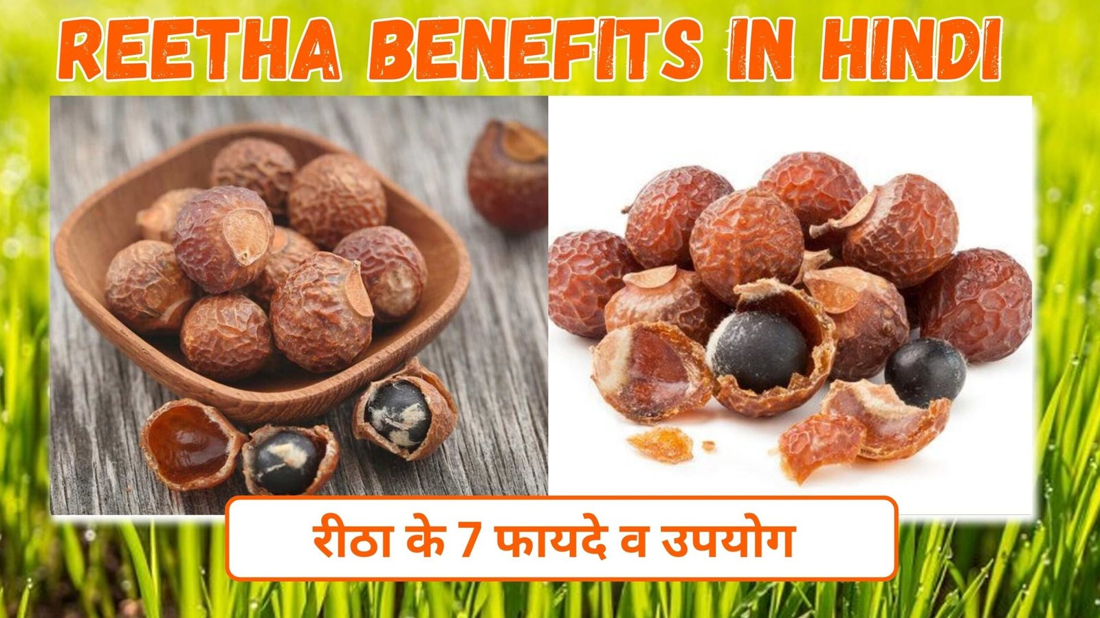 Reetha 5 Benefits in hindi | रीठा के फायदे और उपयोग