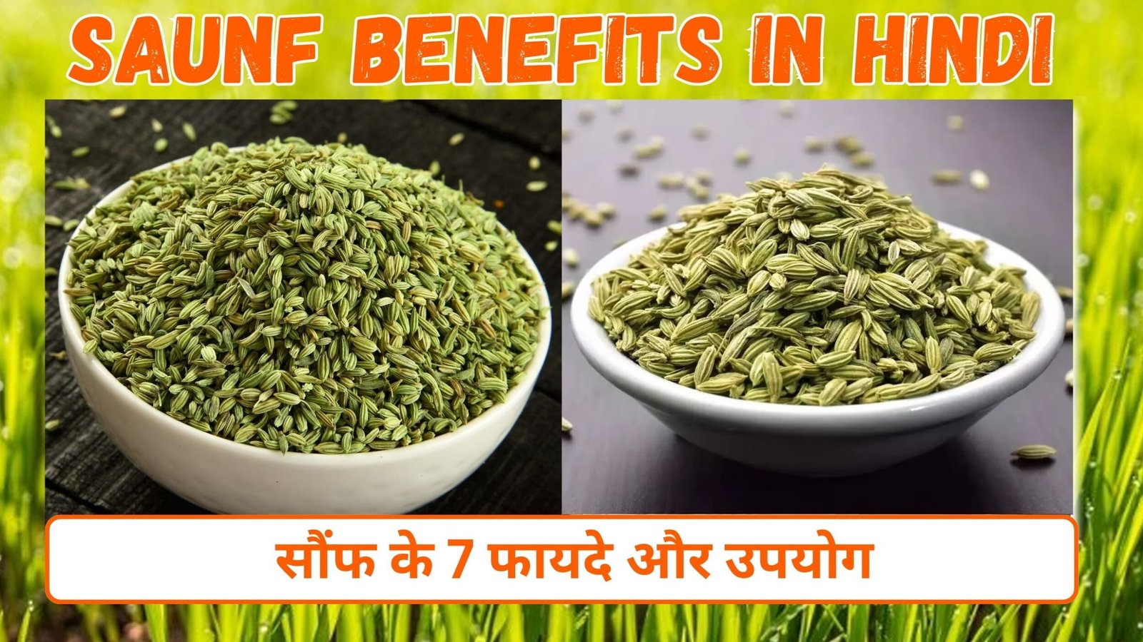 सौंफ के फायदे और उपयोग | 7 Benefits of Saunf ( Funnel Seeds )