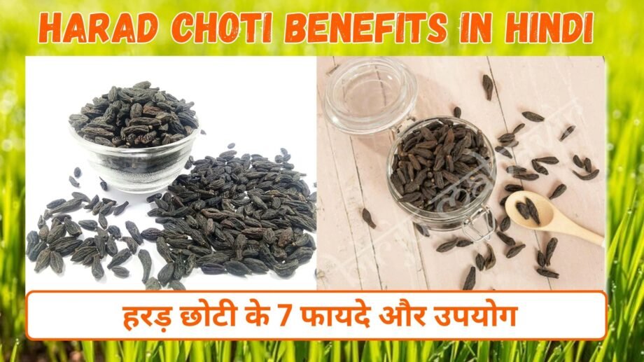 हरड़ छोटी के फायदे और उपयोग | 7 Benefits of Harad Choti in hindi