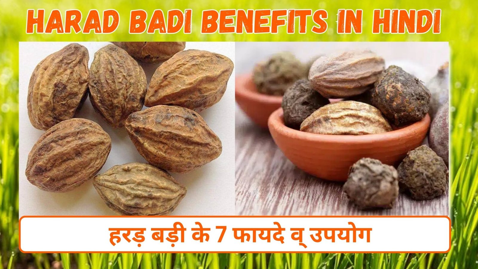 हरड़ बड़ी के फायदे व् उपयोग | 7 Harad Badi Benefits in Hindi