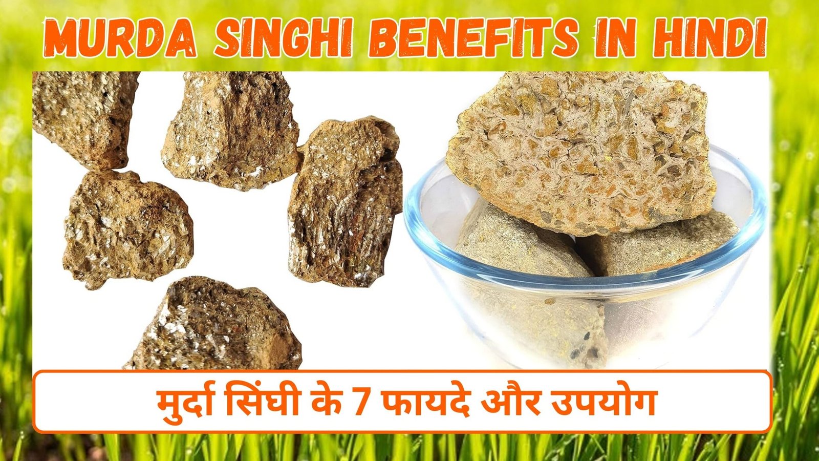 मुर्दा सिंघी के फायदे और उपयोग | 7 Benefits of Murda Singhi in Hindi