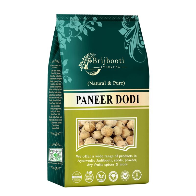 Paneer Dodi Big