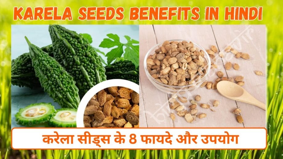 करेला सीड्स के फायदे और उपयोग | 8 Karela Seeds Benefits in Hindi