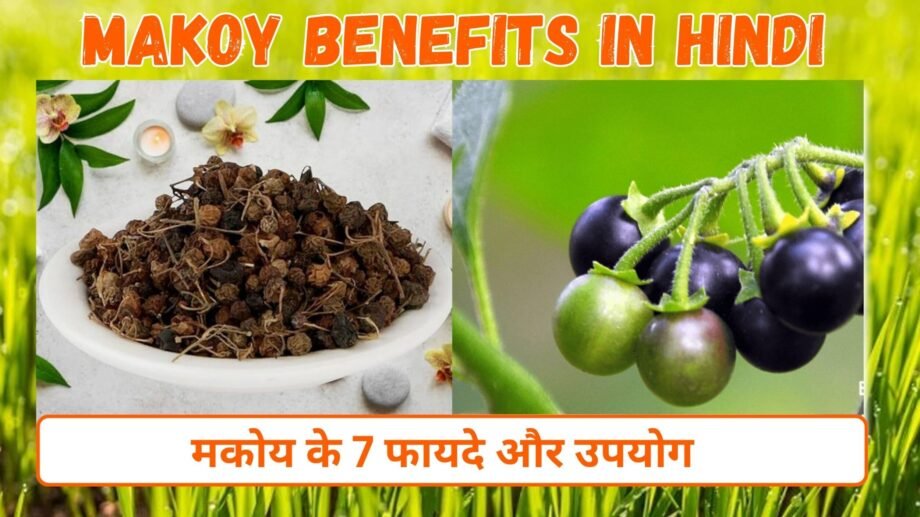 मकोय के 7 फायदे और उपयोग | Makoy Benefits in Hindi