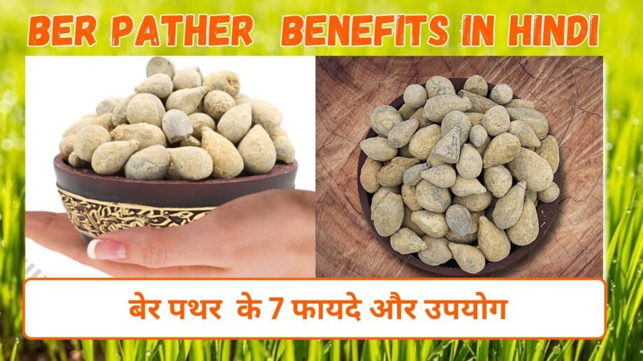 बेर पथर के फायदे और उपयोग | 7 Benefits of Ber pather in Hindi - Brijbooti
