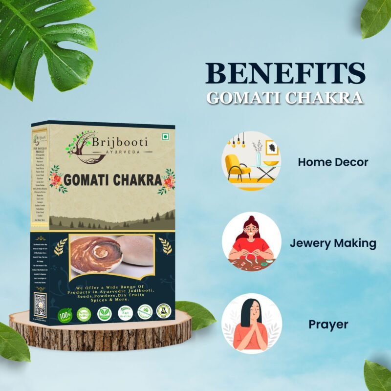 Gomati Chakra Big