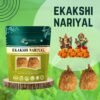 Ekakshi Nariyal
