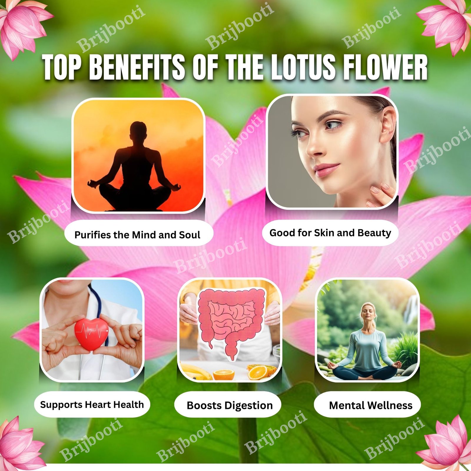 Kamal Seeds Lotus Seeds