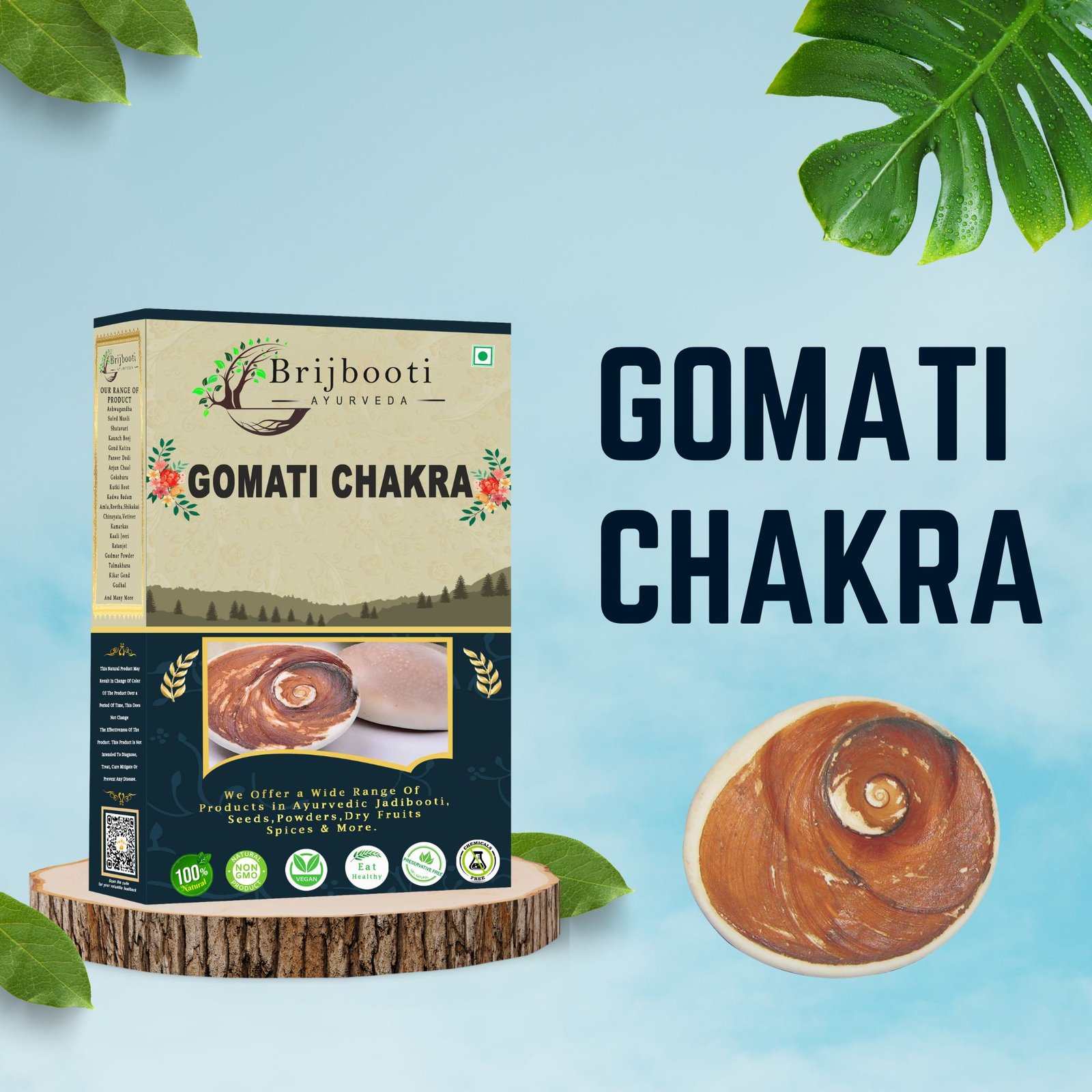 Gomati Chakra Big