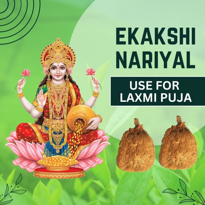 Ekakshi Nariyal
