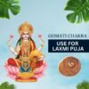 Gomati Chakra Big