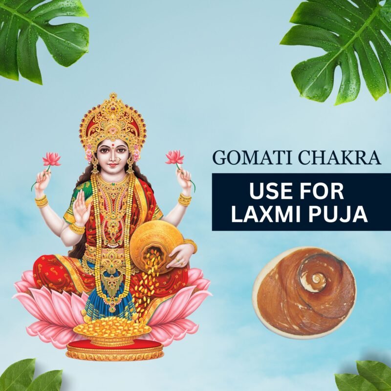 Gomati Chakra Big