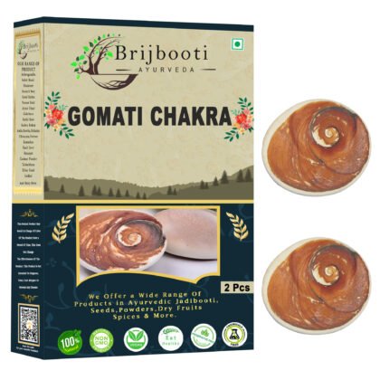 Gomati Chakra Big