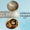 Gomati Chakra Big