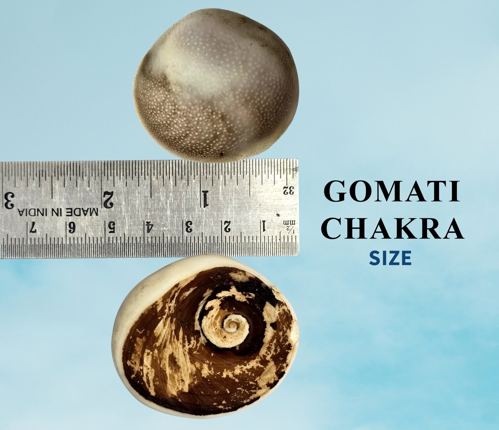 Gomati Chakra Big