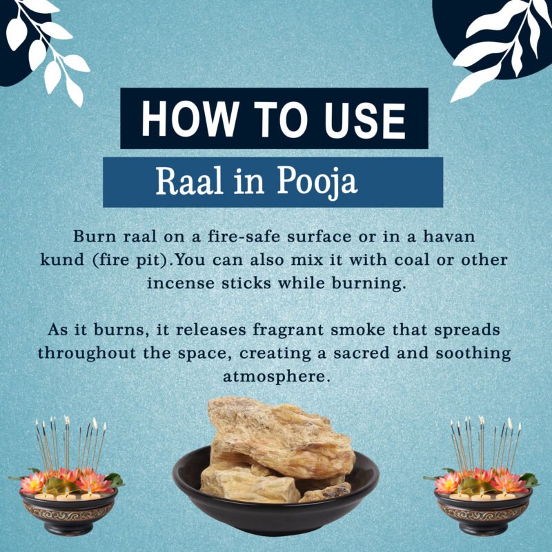 how to use Raal