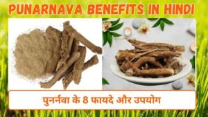 पुनर्नवा के फायदे और उपयोग | 8 Punarnava Benefits in Hindi