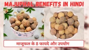 माजूफल के फायदे और उपयोग | 8 Benefits of Majuphal in hindi