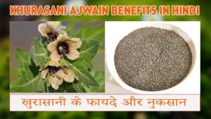 खुरासानी के फायदे और नुकसान | khurasani ajwain benefits in hindi