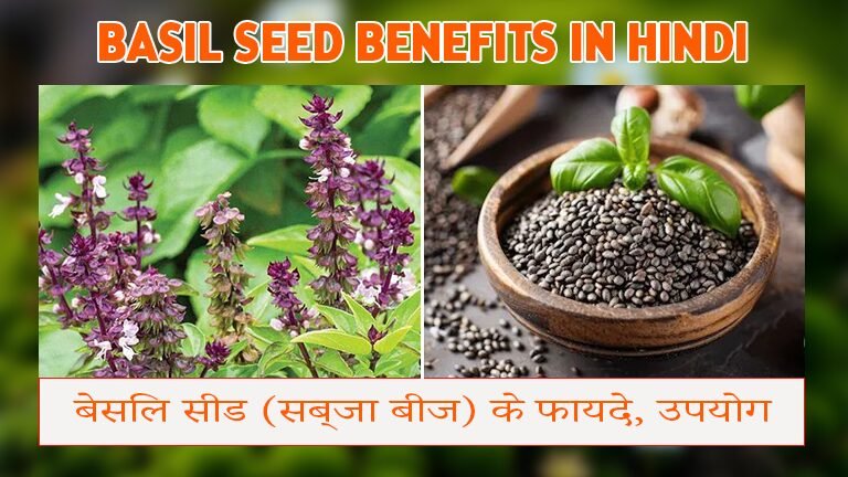 Basil Seed Benefits in hindi
