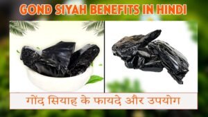 Gond Siyah Benefits in Hindi | गोंद सियाह के फायदे और उपयोग