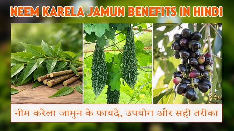 Neem Karela Jamun Benefits in Hindi | नीम करेला जामुन के फायदे, उपयोग और सही तरीका